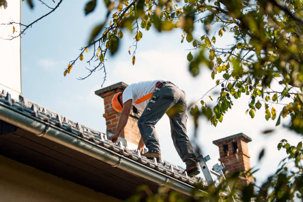 Best Roof Waterproofing Services  in Mulberry, IN
